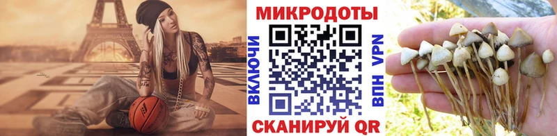 Псилоцибиновые грибы ЛСД блэк спрут зеркало Фёдоровский