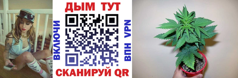 Марихуана SATIVA & INDICA  купить  цена  Фёдоровский 